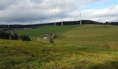 Tour Wandern St. Märgen - Cascade Zweribach depuis Sankt Märgen - Photo 15