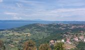 Trail Walking Bolsena - CR_Francigena_DL_48_Bolsena_Montefiascone_20230531 - Photo 17