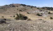 Randonnée Marche La Bastide - Mont Lachens depuis La Bastide - Photo 3