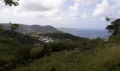 Trail Walking Sainte-Luce - L'Anse Pont Café-Bellevue Ladour en boucle  - Photo 17