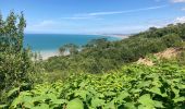 Trail Walking Hautot-sur-Mer - Hautot-sur-Mer - Photo 3