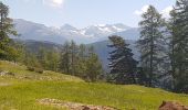 Trail Walking Roubion - PIED DU POMMIER - Photo 4