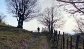 Percorso Marcia Saint Geniez d'Olt et d'Aubrac - Les Vergnes Mailhebiau Tourbière  - Photo 1