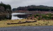 Tour Wandern Florenville - Les Epioux 030222 - Photo 2