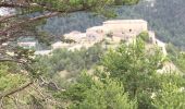 Tocht Stappen Aussois - Forts de l’Esseillon - Photo 11