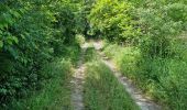 Trail Walking Coulommiers-la-Tour - Les Bois d'Huchigny, des Péseries et de Villemalin - Photo 20