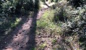 Trail Walking Mougins - Basique - Photo 11