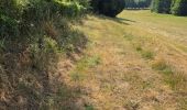 Percorso Marcia Cerelles - Cerelles - Bois de Lignière - Photo 11