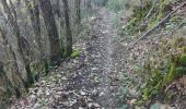 Trail Walking Vesc - Hubac de Ruy - Photo 7