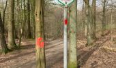 Trail Walking Braine-le-Comte - Bois de la Houssiere - Photo 1