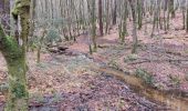 Trail Walking Camors - PR_56_Camors_BA_02_L-Eau_Circuit1b_20230218 - Photo 13