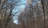 Trail Walking Lisors - Lisors - Le bois Préau, la marre aux bourre - Photo 15