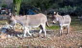 Tour Wandern Solliès-Toucas - Valaury - Apier - Matheron - Photo 8