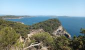 Trail Walking Hyères - Presqu'île Giens Ouest-26-05-23 - Photo 10