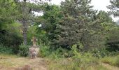 Tour Nordic Walking Nant - Canoles du Larzac - Photo 1