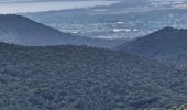 Trail Walking Hyères - N3 1er Borrels - Photo 2