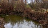 Randonnée Marche Gouvy - Promenade vers la réserve naturelle 