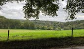 Randonnée Marche Esneux - Esneux - boucle de l’Ourthe - Photo 3