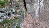 Trail Walking Waldbillig - mullerthal - Photo 16