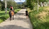 Excursión Paseo ecuestre Chainaz-les-Frasses - balade du 10.08.2019 - Photo 8