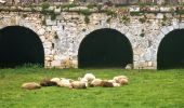 Tocht Stappen Chamarande - Boucle autour de Chamarante - Reco Didier  - Photo 4