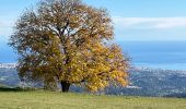 Excursión Senderismo Tourrettes-sur-Loup - Tourettes-sur loup Pic Courmettes Puys Tourettes et Naouri Trace réélle - Photo 9