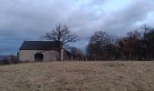 Trail Walking Riemst - montagne St-Pierre / St Pietersberg - Photo 8