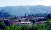 Percorso A piedi Gaiole in Chianti - IT-33 - Photo 3