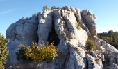 Excursión Senderismo Signes - Arches de Sioux blanc et l'éléphant de pierre  - Photo 1