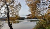 Percorso Marcia Châteauneuf-du-Rhône - Châteauneuf-du-Rhône Les Iles 6km - Photo 1