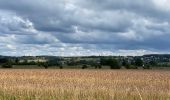 Randonnée Marche Couvin - Dailly 17 km - Photo 2