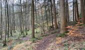 Tour Wandern Raeren - Raeren 22,5 - Photo 3