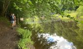 Trail Walking Houffalize - Les deux Ourthes au départ de Filly - Photo 20