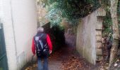 Percorso Marcia Plaisir - Forêt de Ste Appoline - Photo 4