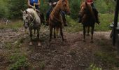 Trail Horseback riding Vacqueville - vacqueville chez Heidi bertrichamp  - Photo 4