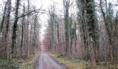 Tour Zu Fuß Herrenberg - Roter Punkt, Herrenberg - Naturfreundehaus - Photo 10