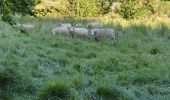 Randonnée Marche Valorbiquet - la rando des lavoirs  - Photo 15