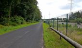Trail On foot Steinsel - Fleche Bleu Heisdorf - Photo 3