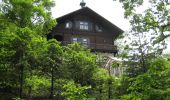 Tocht Te voet Gemeinde Reichenau an der Rax - Schneedörfl - Waldburgangerhütte - Photo 7