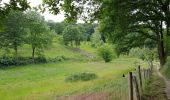 Tour Wandern Braine-le-Château - braine le château et Ittre - Photo 5