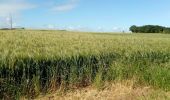 Tocht Hybride fiets Rochefort -  Rochefort-Dolmen-St Pierre  - Photo 2