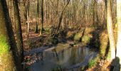 Randonnée Marche Vieux-Moulin - en forêt de Compiègne_25_les Tournantes du Mont Saint-Pierre - Photo 10