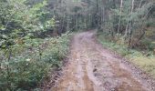 Excursión Senderismo Cros - Le pont du diable, en p1rtant du gîte aux milles fleurs - Photo 15