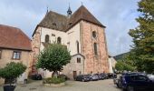 Tour Wandern Andlau - 2022-09 Boucle Andlau - Château du Haut-Andlai - Château de Spesbourg - Photo 12