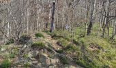 Trail Walking Trooz - Forêt 17kms - Photo 4