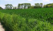 Trail Walking Tongeren - Promenade dans la réserve naturelle de Kevie - Photo 6