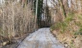 Trail Walking Olne - La promenade des crêtes - Photo 16