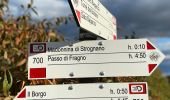 Trail On foot Langhirano - Bivio 700 di Strognano - Casatico - Torrechiara - Photo 5