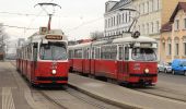 Percorso A piedi Sconosciuto - Stadtwanderweg 5 - Bisamberg - Photo 9