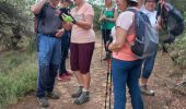 Tour Wandern Laure-Minervois - Laure Mvois (Capitelles) - Photo 3